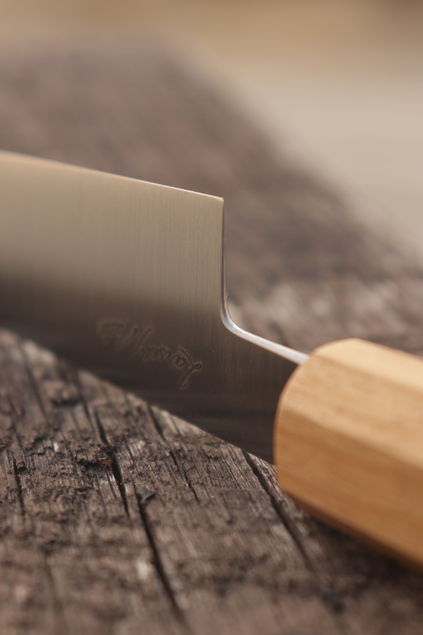 no.5 Petty Stainless