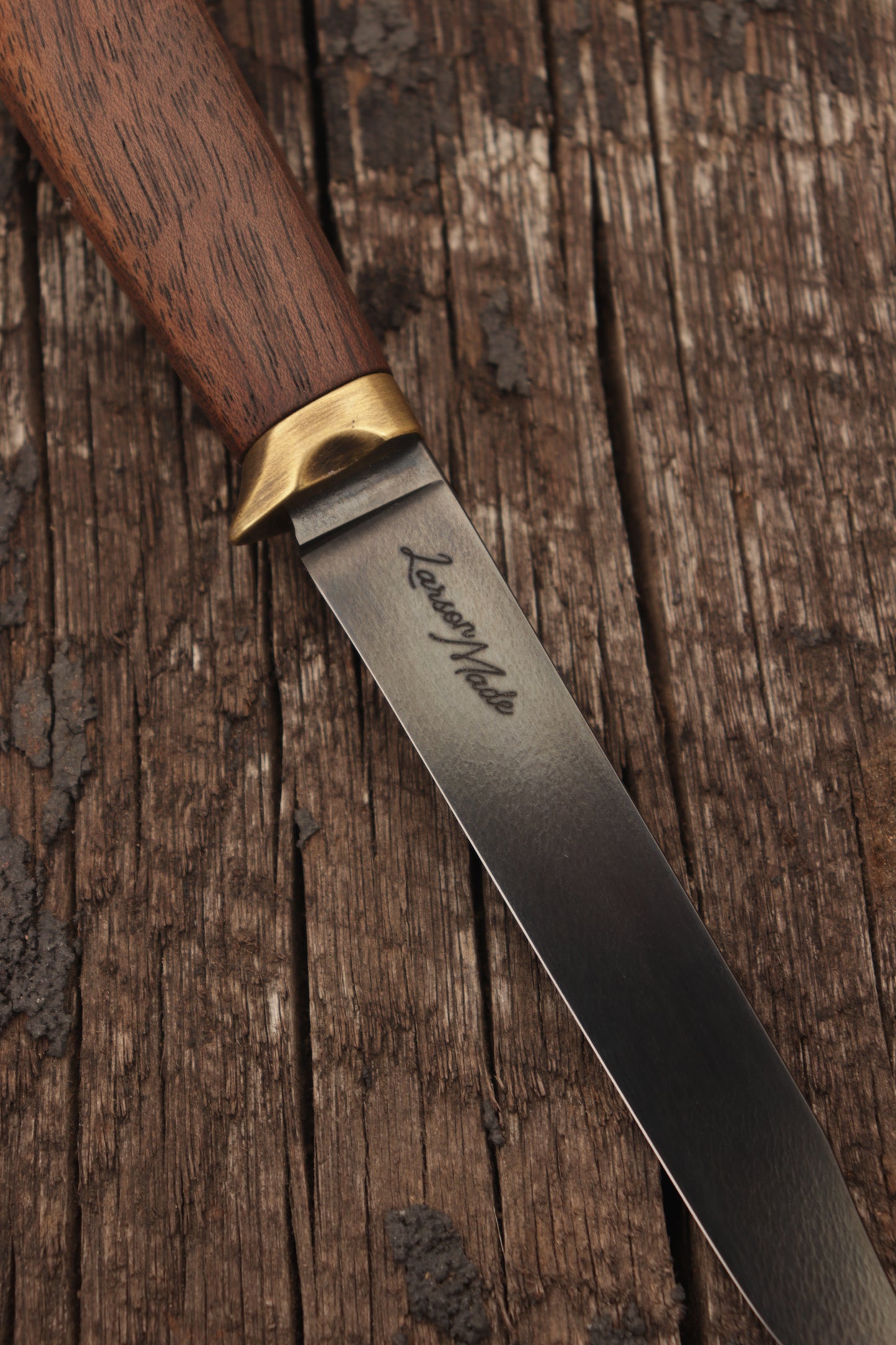 no.3 White Tail
