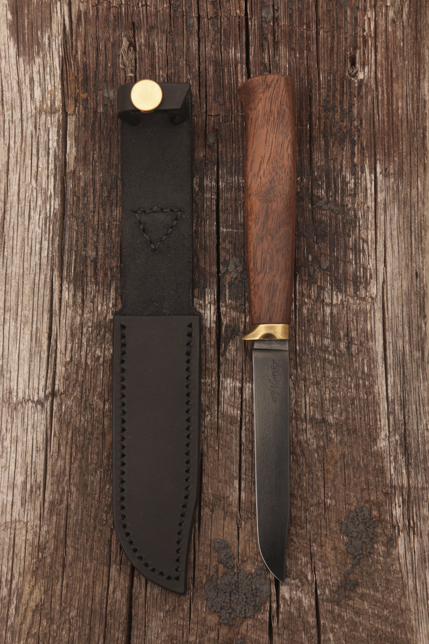 no.3 White Tail
