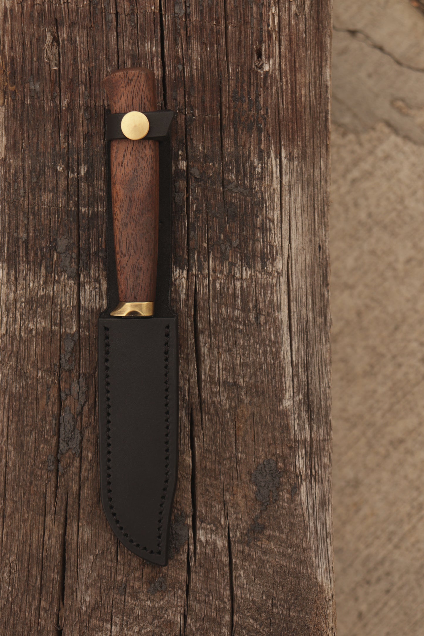 no.3 White Tail
