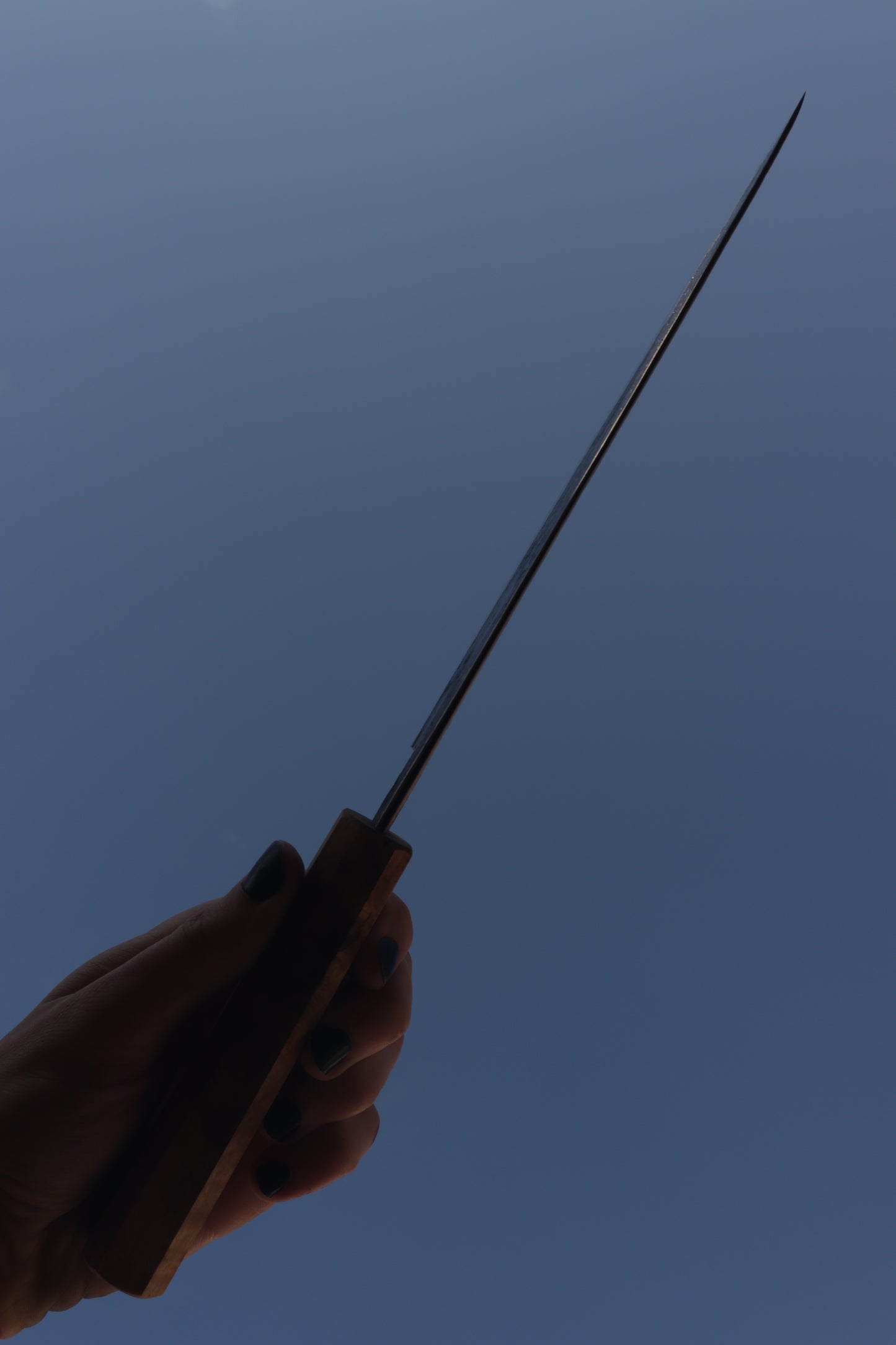 no.8 Gyuto San Mai