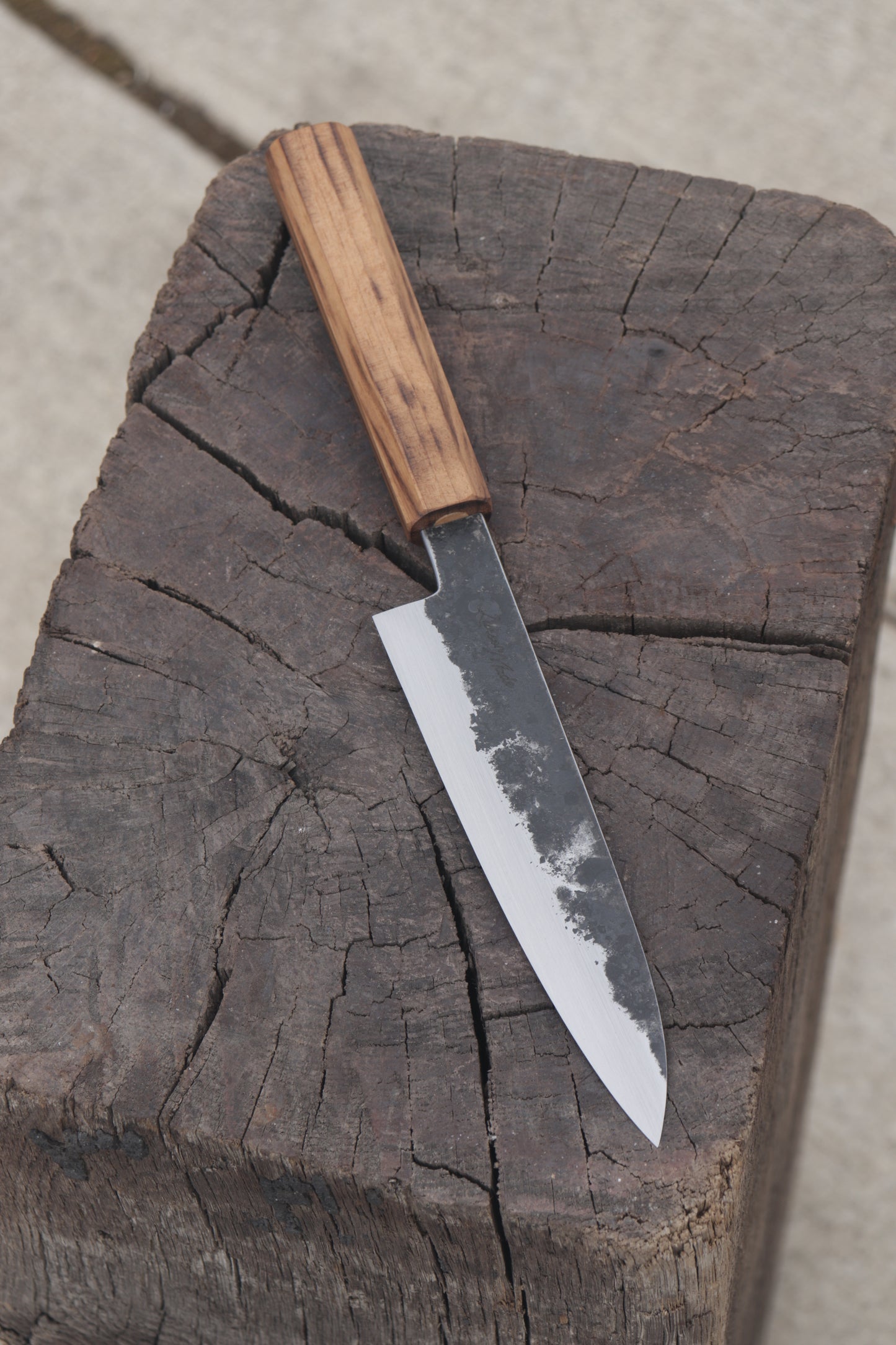 no.5 Petty Carbon