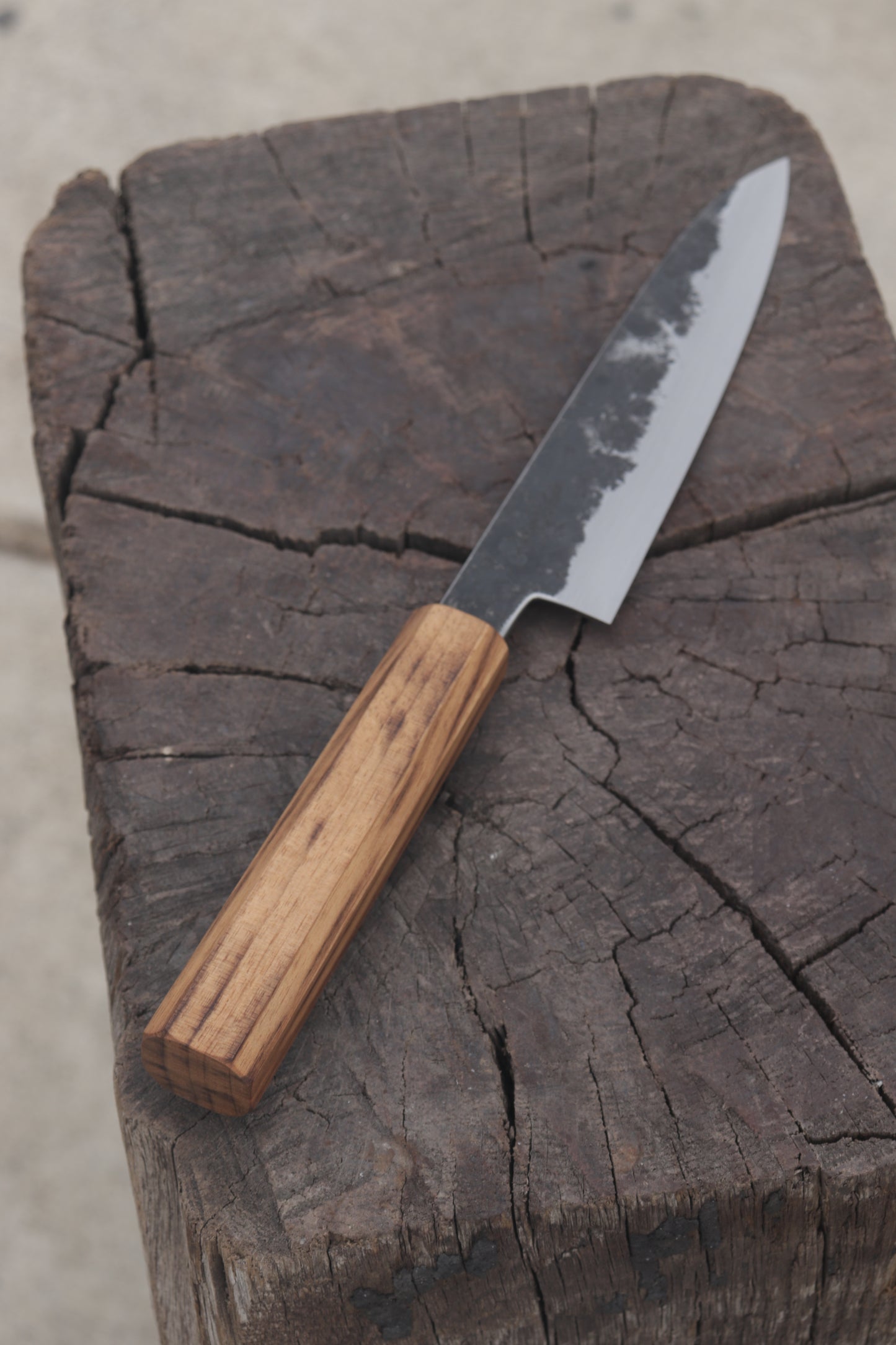 no.5 Petty Carbon