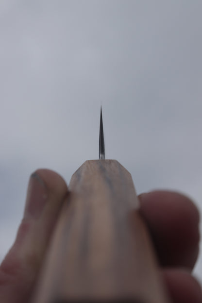 no.5 Petty Carbon